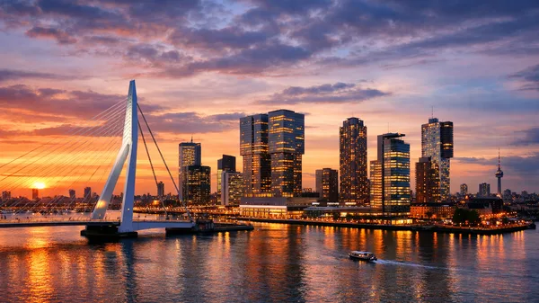 Discovering Rotterdam: A Blend of Modernity and History