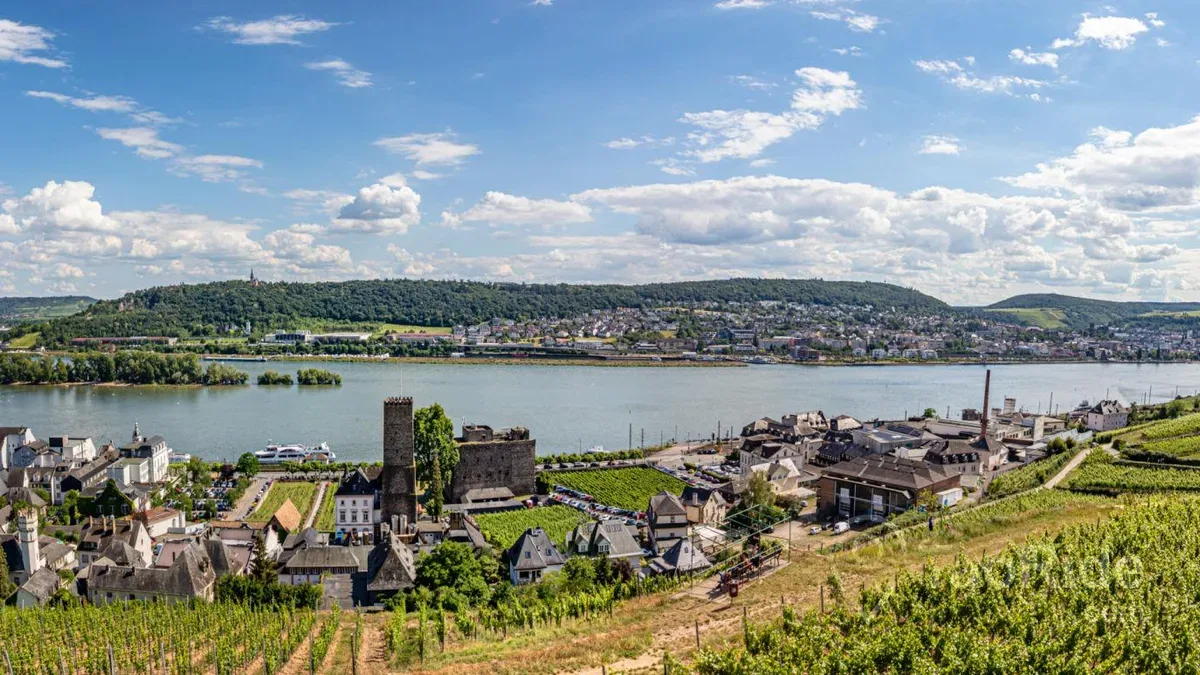 Niederwald Monument above the vineyards of Rüdesheim am Rhein