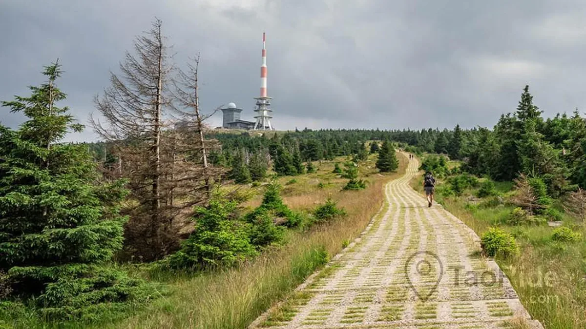Hiking trail through the Harz National Park towards Brocken summit