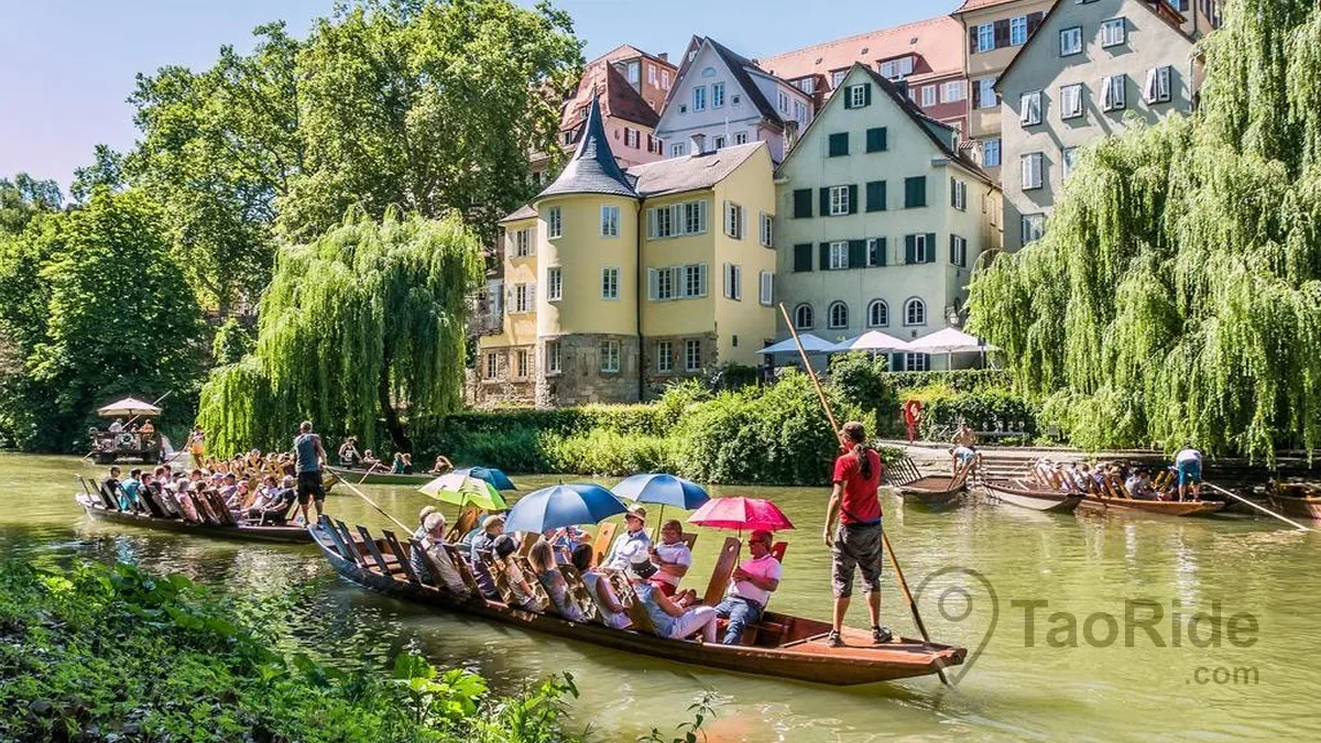 Traditional Stocherkahn boats on the Neckar River in Tübingen, Germany
