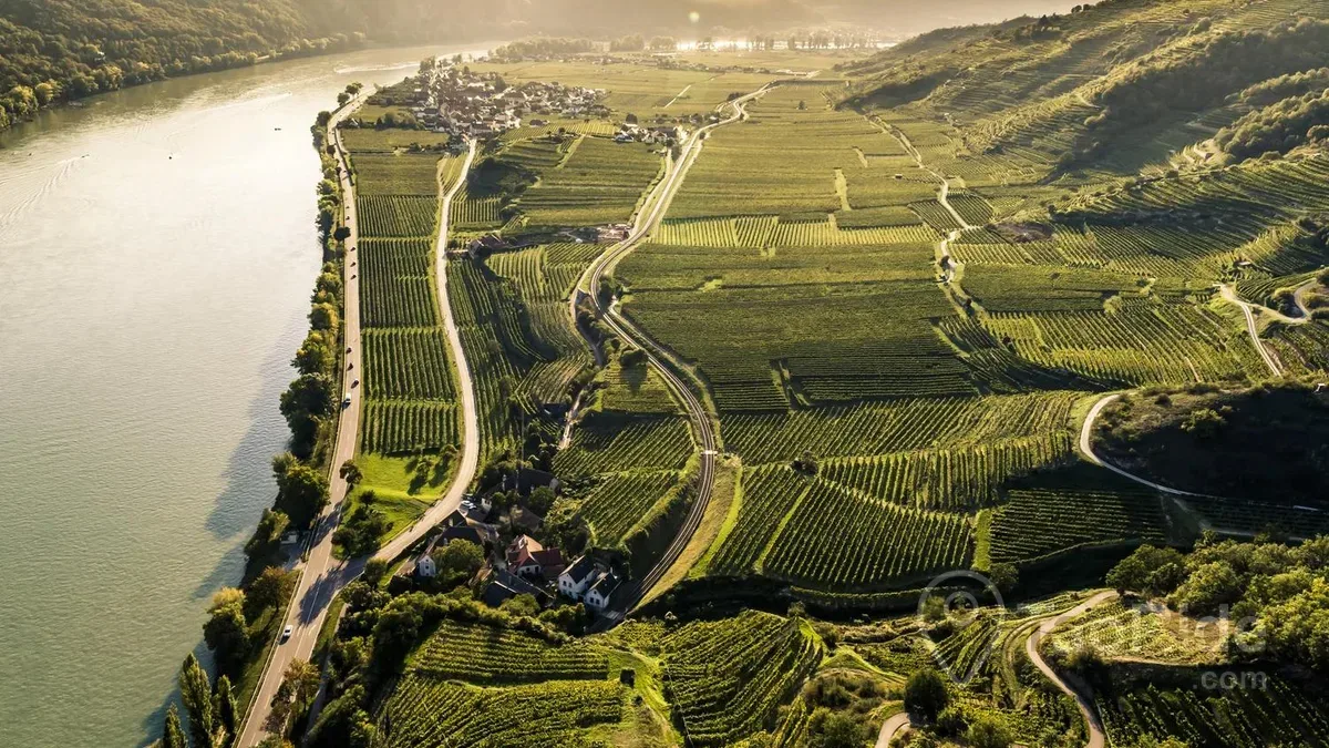 Vineyards overlooking the Danube River in Austria's Wachau Valley